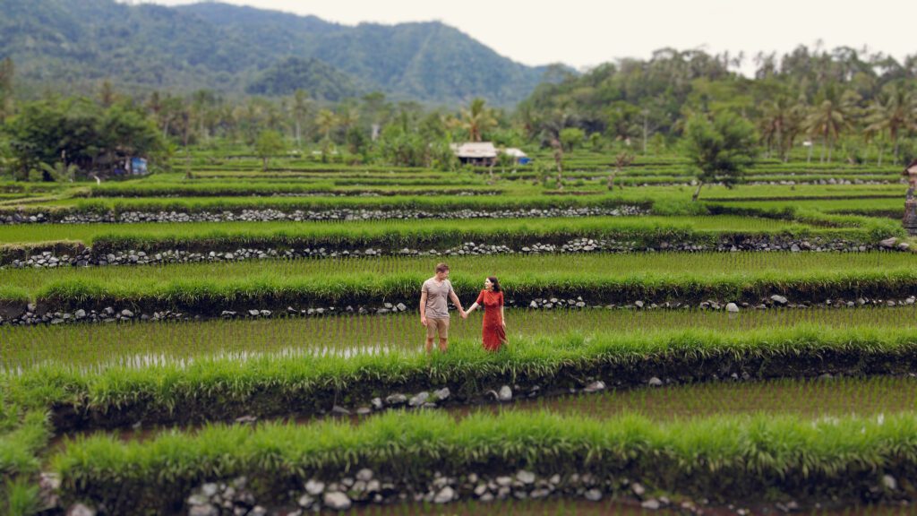 Tegallalang & Jatiluwih Rice Terraces – Bali’s Green Paradise