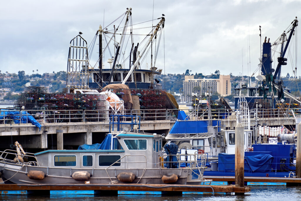 Traditional Shipyards and Master Craftsmen