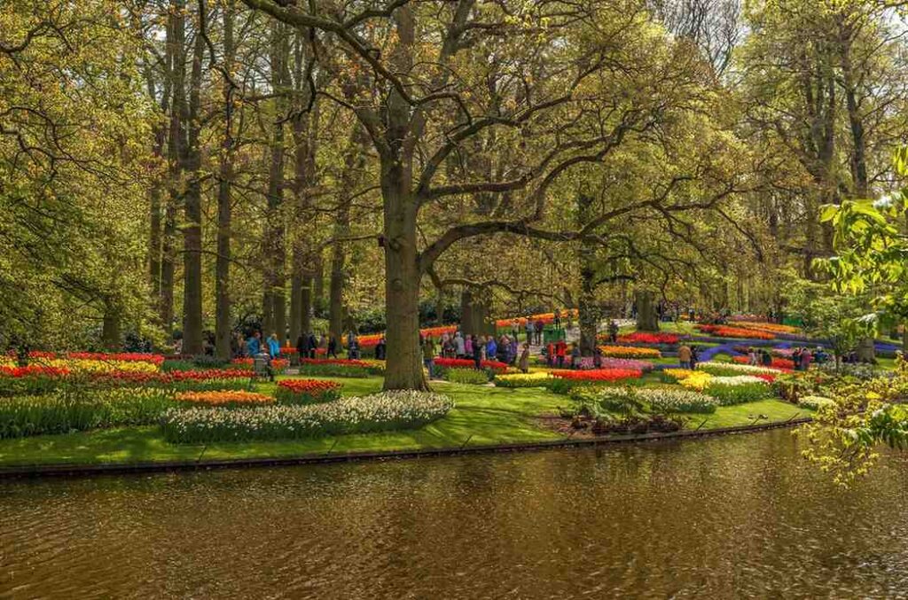 Parks, Nature, and Relaxation