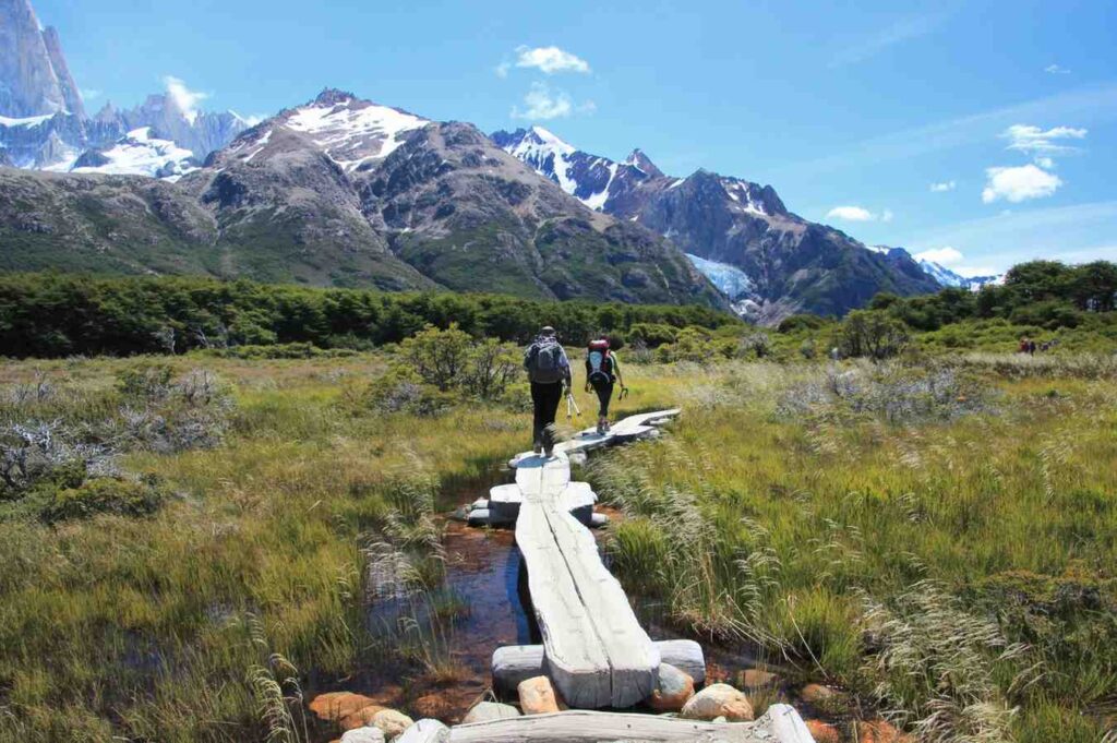 Exploring Nature Through Curated Itineraries