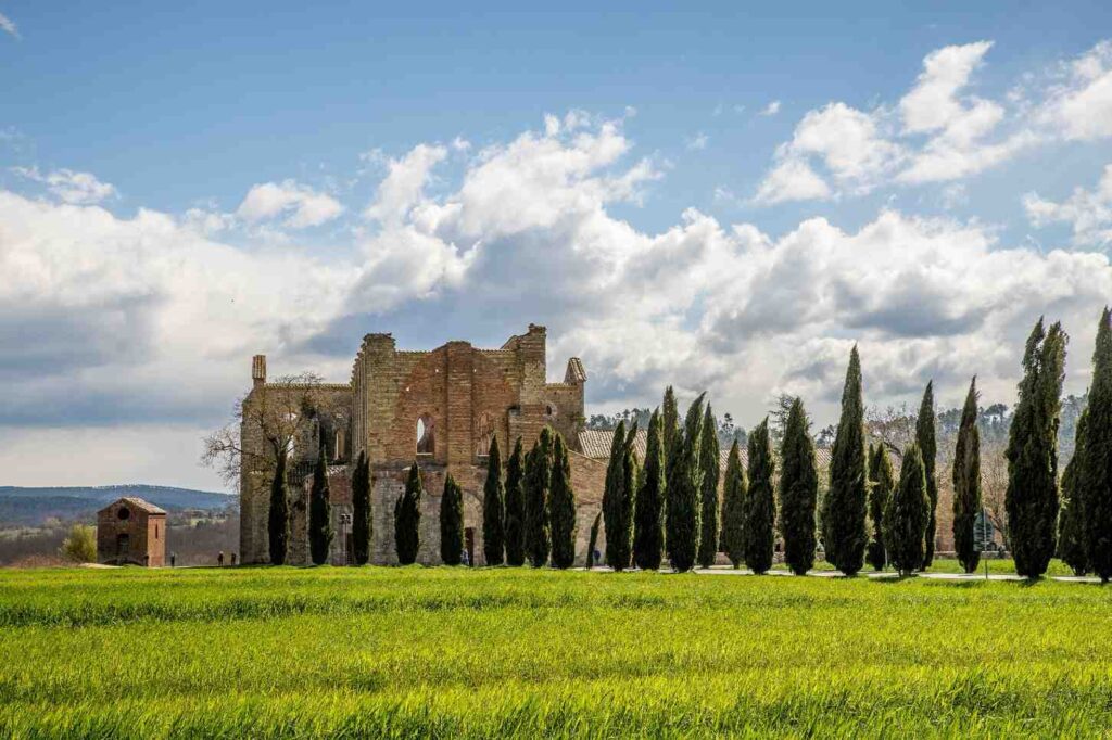 Florence & Tuscany: Art, Culture, and Rolling Hills