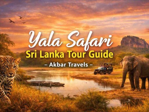 Yala Safari Sri Lanka Tour Guide - Akbar Travels