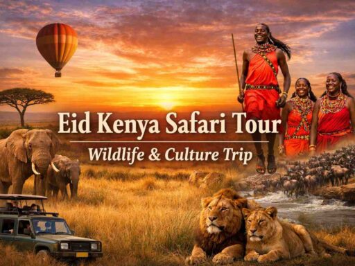 Eid Kenya Safari Tour: Wildlife & Culture Trip