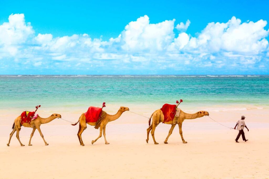 Top Affordable Summer Destinations from Kuwait